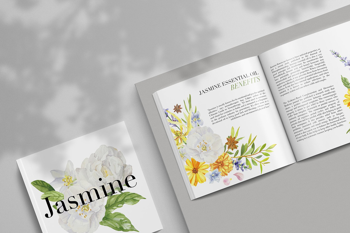 Essential Oils Botanical watercolor, a Healthcare Illustration by Volha Studio (Photo 4 of 11)