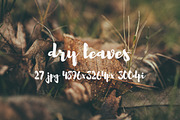 Dry leaves, a Templates & Theme by ApertureVintage (Thumbnail 11 of 16)