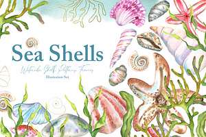 Watercolor Sea Shells Illustrations