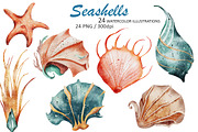 Seashells Watercolor Illustrations, an Object Illustration by Evgeniia (Thumbnail 1 of 3)