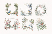 Winter Birds, an Animal Illustration by PeDe Designs (Thumbnail 5 of 6)