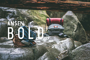 Ansen | An Adventurous Family, a Sans Serif Font by Zone 6 (Thumbnail 10 of 13)