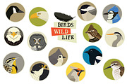 Forest wild life Birds, an Object Graphic by Nenilkime (Thumbnail 2 of 2)
