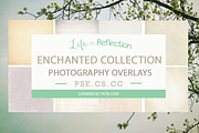 Enchanted Overlay Collection Bundle, a Texture Graphic by lifenreflection (Thumbnail 1 of 2)