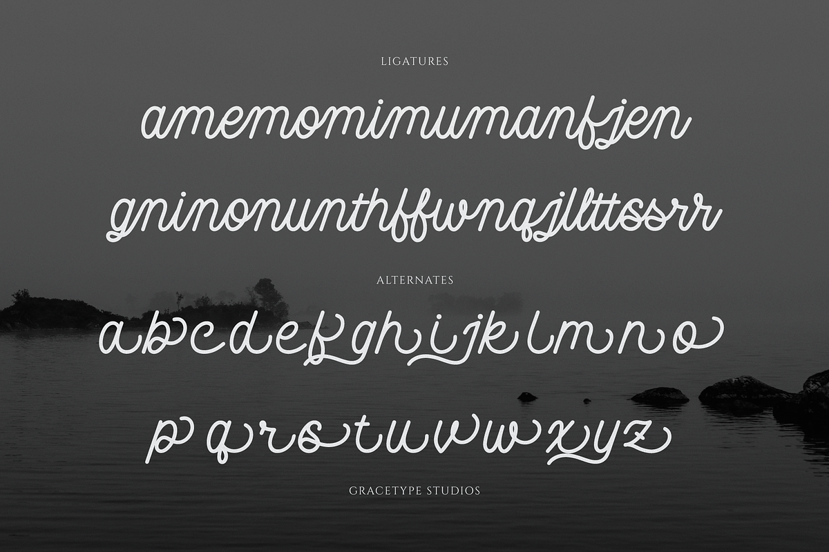 Jenaka | Monoline Script, a Script Font by gracetype_studio (Photo 12 of 12)