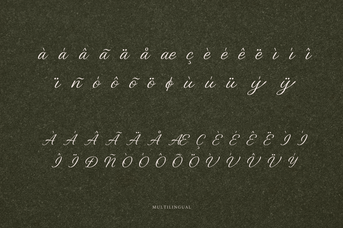 Carmeline Elegance Script Font, a Script Font by Rasio Studio (Photo 6 of 10)