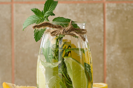 Lemonade in a transparent glass with lemon, lime, rosemary sprig, a Food & Drink Photo by ndanko