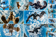 65 Jumping animals, an Animal Photo by Handmadefont (Thumbnail 2 of 13)