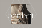 Ranse Modern Ligature Serif Font, a Serif Font by Dylla_studio (Thumbnail 5 of 12)