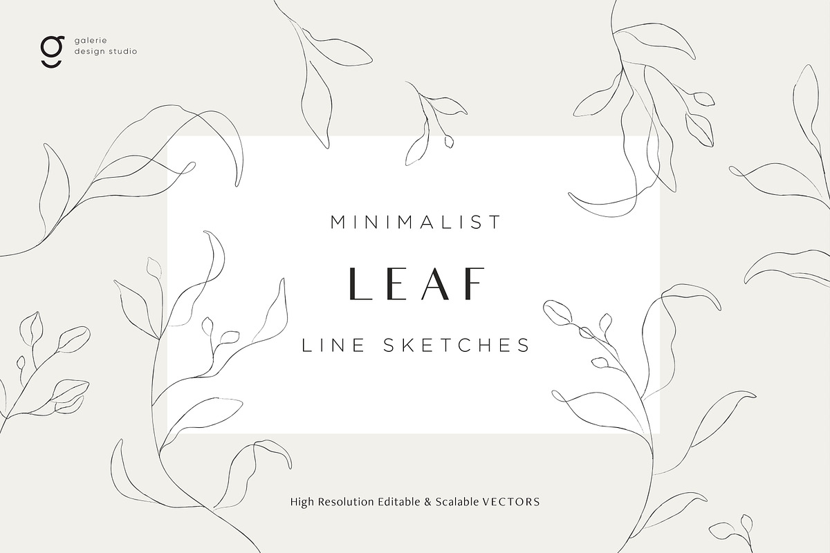 Minimalist Leaf Line Sketches, an Illustration by Galerie Design Studio (Photo 1 of 6)