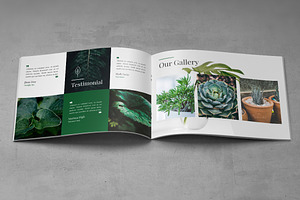 A5 Decorative Plants Brochure