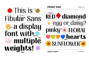 FIBULAR SANS - Variable Display Type, a Sans Serif Font by Artflorara (Thumbnail 4 of 23)