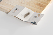 A4 Size Tri-Fold Brochure Mockup, a Print Template by pmvch (Thumbnail 3 of 20)