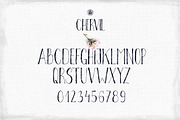 Chervil, a Script Font by Webvilla Studio (Thumbnail 4 of 4)