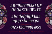 Michely Wangi Elegant Swan Serif, a Serif Font by alit design (Thumbnail 16 of 20)