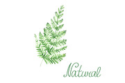 Vector watercolor natural set, a Graphic by lycka (Thumbnail 1 of 4)