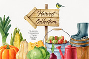 Watercolor harvest collection, a Decorative Illustration by Natalia Fedorova (Thumbnail 1 of 9)