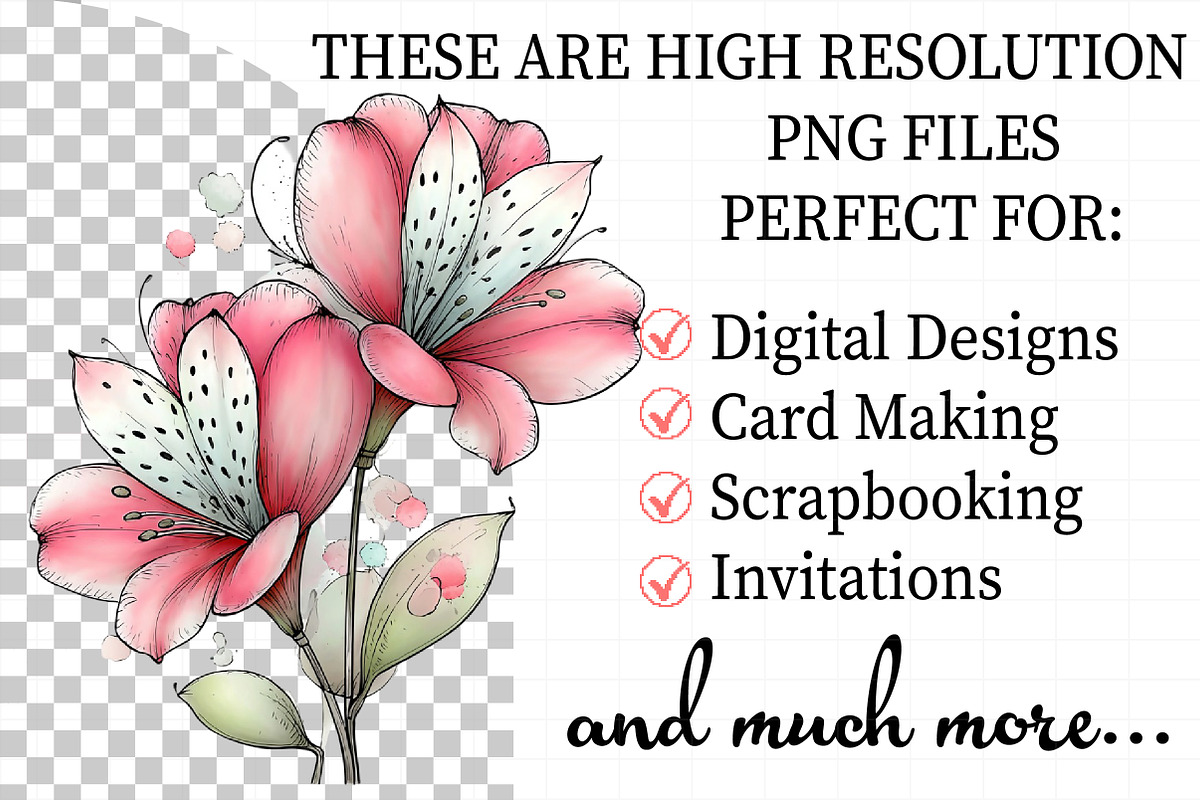 Spring Alstroemeria Flowers Clipart, an Illustration by Daily.Designs (Photo 2 of 8)