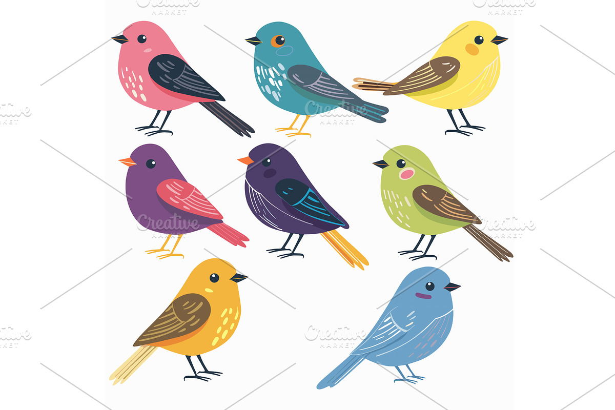 Colorful cartoon birds illustrated, an Animal Illustration by Vectorstockersland