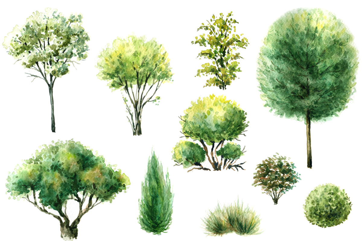 Watercolor  Trees and Bushes, a Decorative Illustration by Valentyna Smordova (Photo 3 of 6)