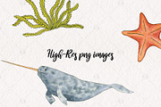 Watercolor Whales Graphics, an Illustration by Kileen Nicole Art (Thumbnail 3 of 5)