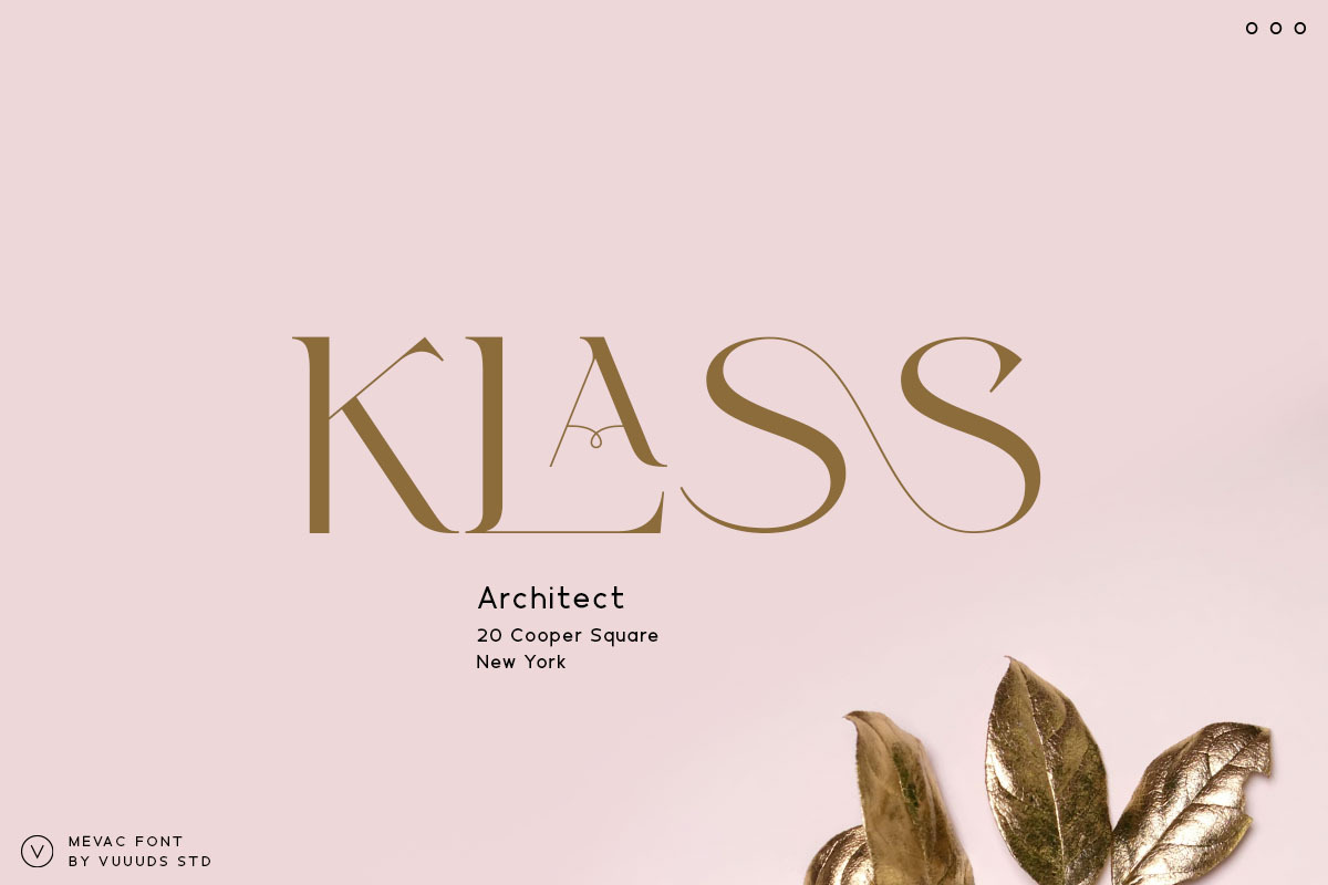 Mevac Font, a Serif Font by vuuuds (Photo 3 of 10)