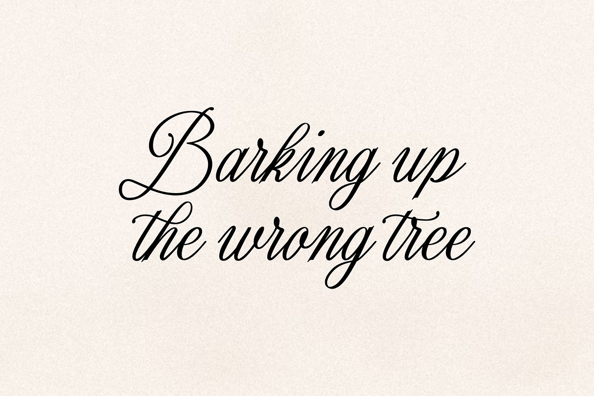 Romantyc Harmony, a Script Font by Damarletter (Photo 4 of 8)