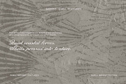 Shell Imprint textures, a Background Graphic by DigARTbyHavroshka (Thumbnail 5 of 12)