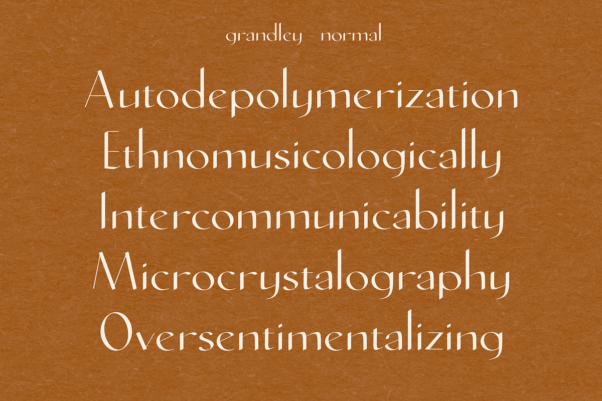 Grandley Sans Serif Font, a Font by Evoke Type Studio (Photo 11 of 15)