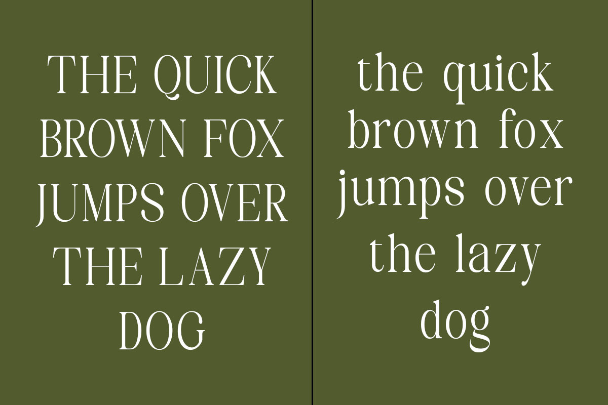 Mellino, a Serif Font by Nurul_kamal (Photo 2 of 10)