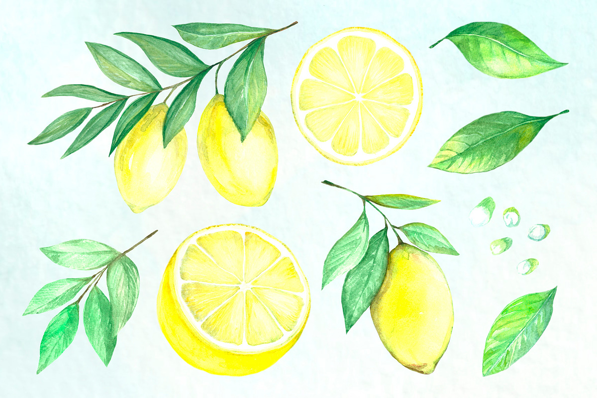 Watercolor lemons, an Illustration by Art Watercolor (Photo 5 of 5)