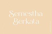 Beverly - Modern & Luxury Serif Font, a Serif Font by Pen Culture (Thumbnail 3 of 12)