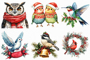 Watercolor Christmas Birds Clipart, an Illustration by Craft Nest (Thumbnail 4 of 6)