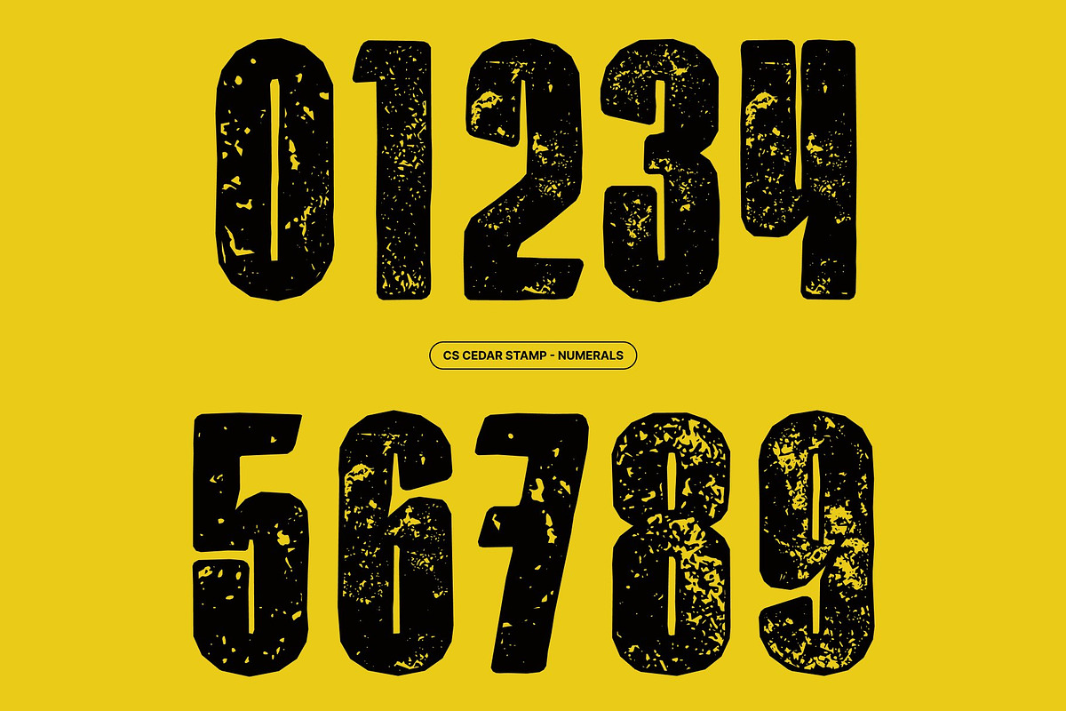 CS Cedar Stamp, a Sans Serif Font by Craft Supply Co. (Photo 4 of 8)
