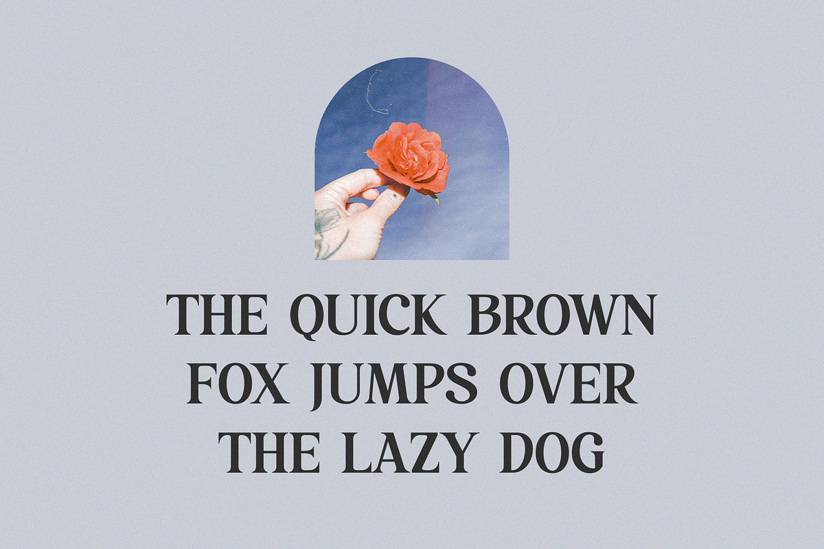 Rakonde - Classy & Stylish Serif, a Serif Font by TypeLogue (Photo 5 of 5)