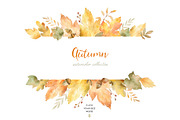 Autumn watercolor collection., a Decorative Illustration by Elena Medvedeva (Thumbnail 3 of 7)