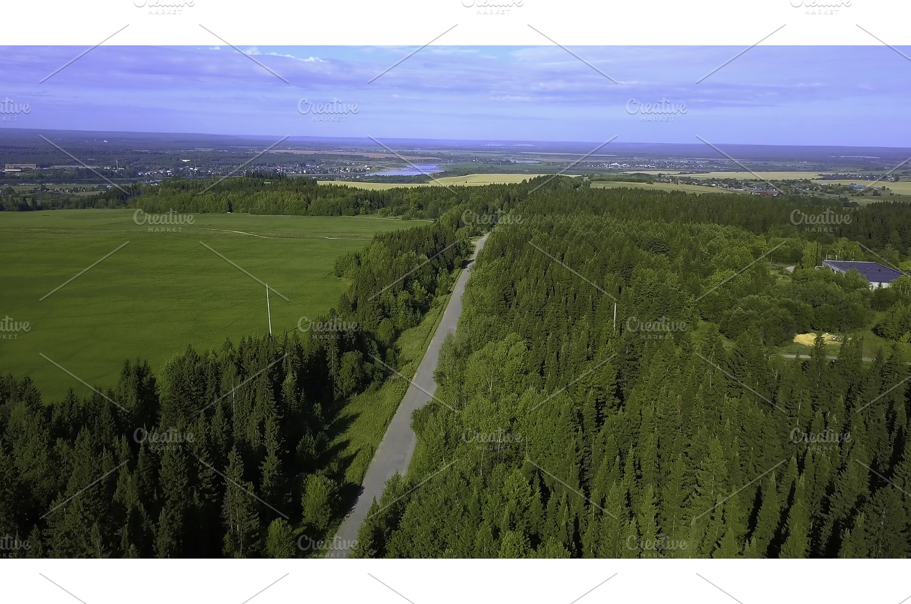 Bird's-eye view. Clip. A huge forest, a Nature Photo by Media Whale Stock