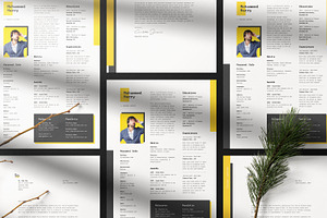 Resume CV Template 11