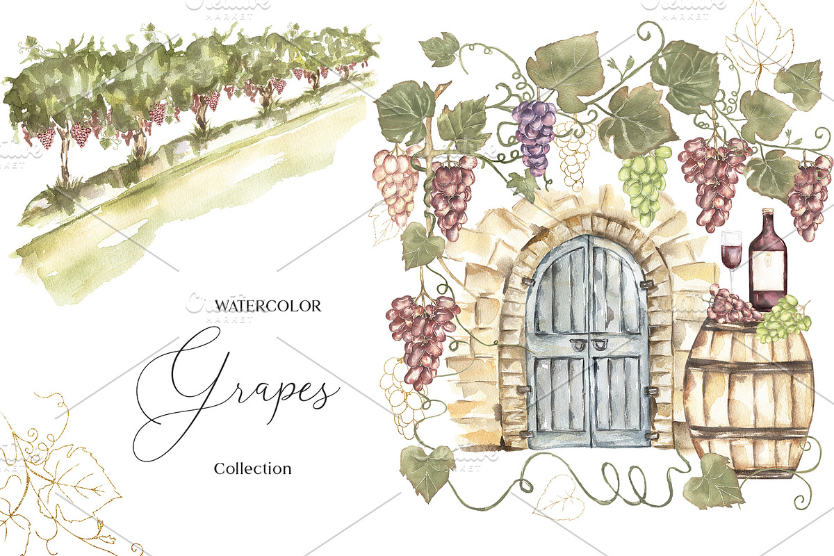 Watercolor Grapes Collection, a Decorative Illustration by MayaNavits (Photo 1 of 9)