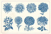 Vintage Flower Illustrations, a Decorative Illustration by Mr Vintage (Thumbnail 7 of 13)