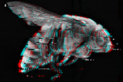VHS Glitch Effects, an Action Add-On by Designdell (Thumbnail 3 of 11)