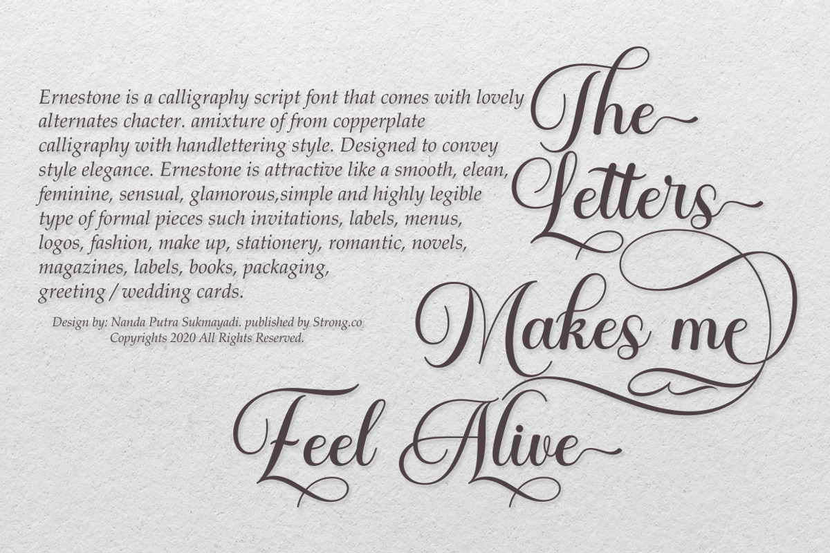 Ernestone Script, a Script Font by Strong.co (Photo 4 of 14)