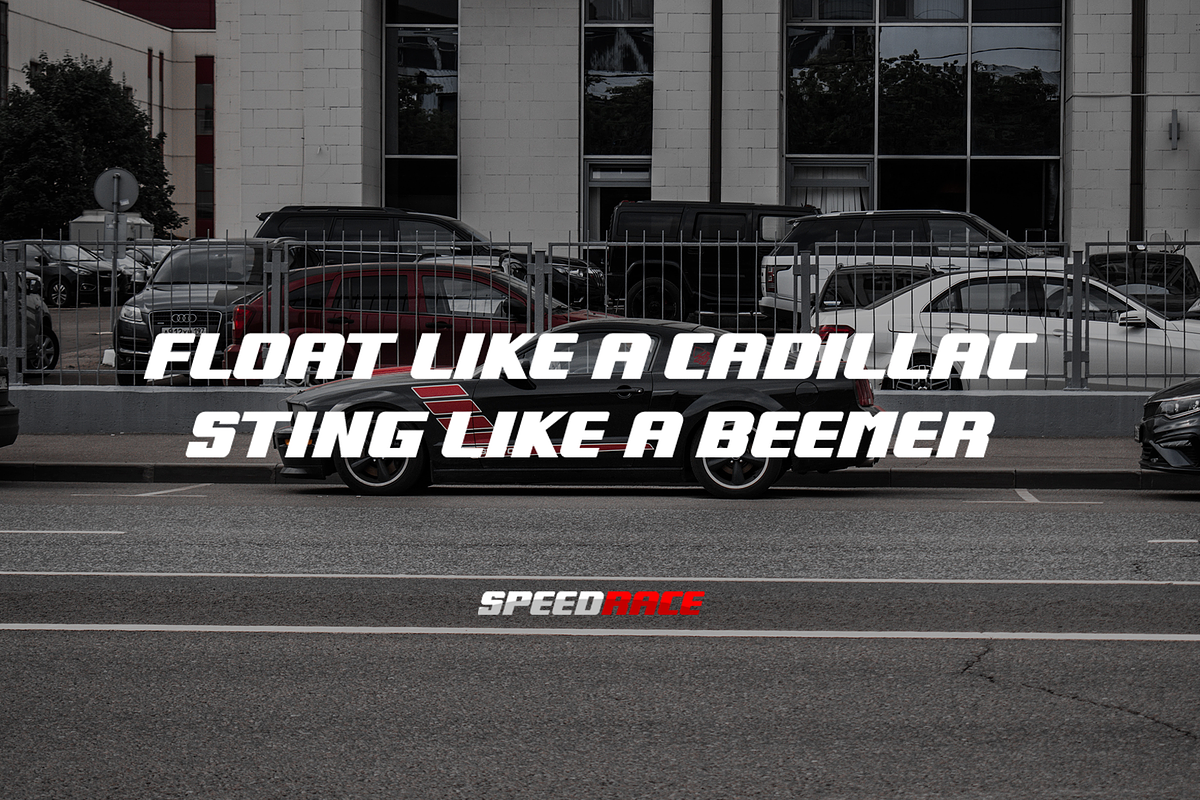 Speedrace - A Racing Display Font, a Sans Serif Font by overlaytemplates (Photo 3 of 5)