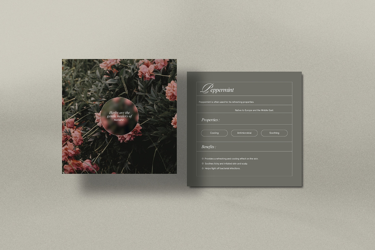 Herbal Medicine Instagram Templates, a Social Media Template by Terraa Studio Design (Photo 6 of 10)