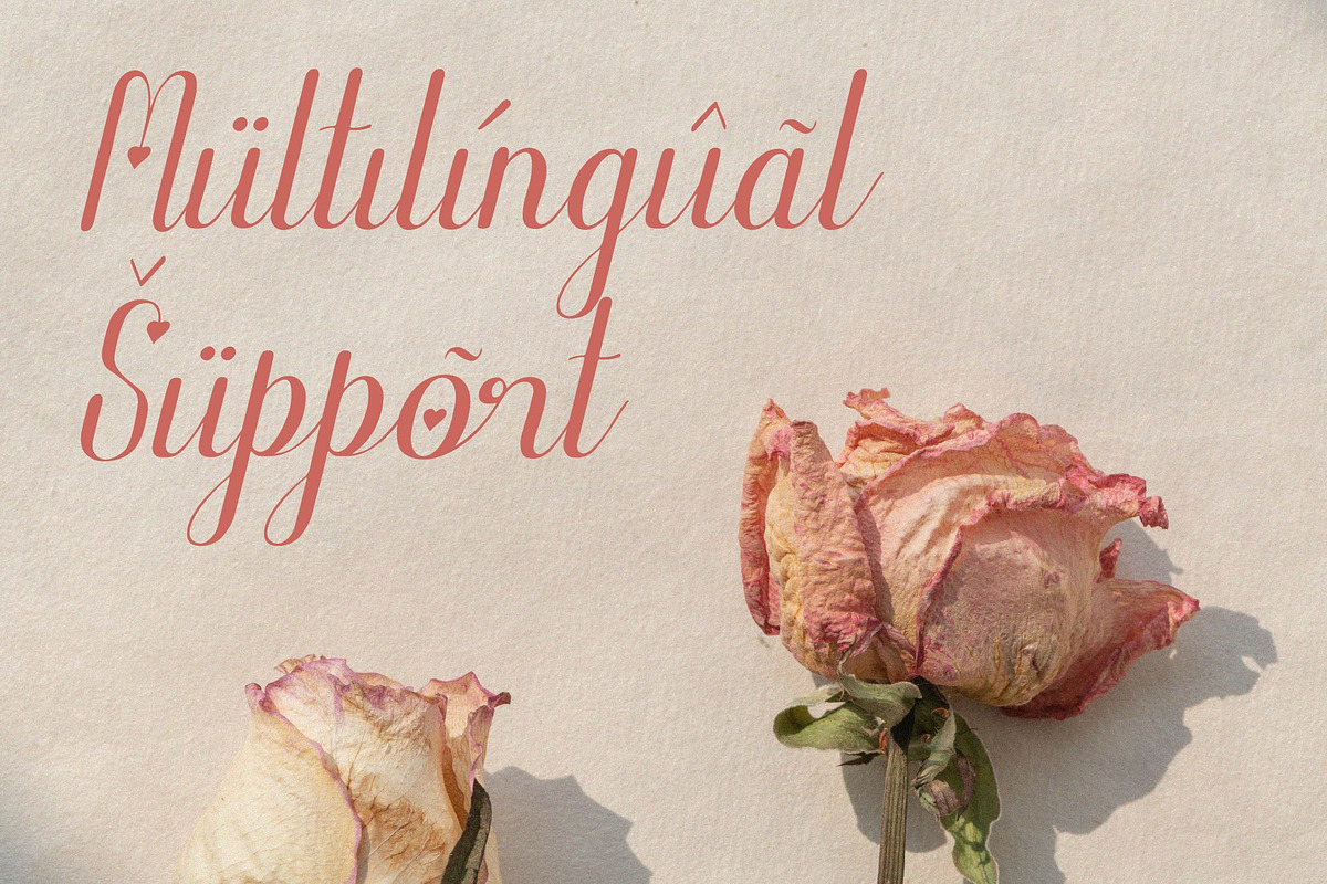 Enfiyali Alovelly Love Modern Script, a Script Font by Denustudios (Photo 12 of 13)