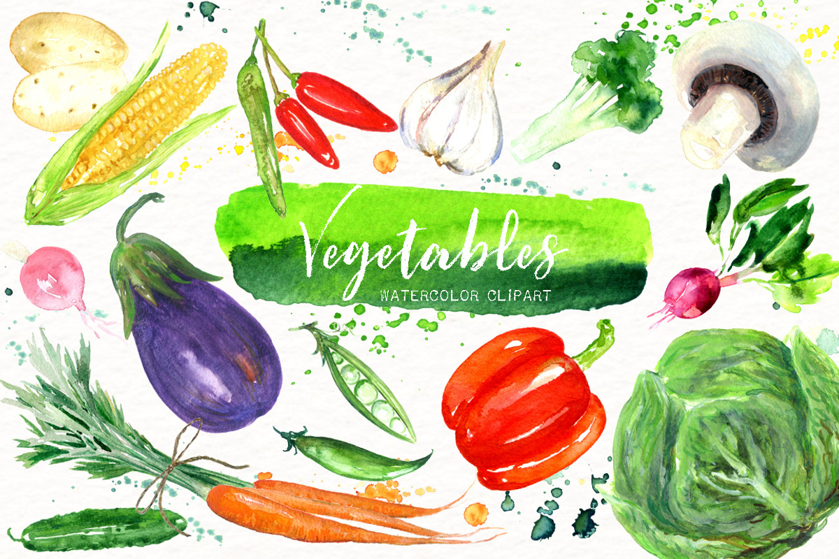 Vegetables. Watercolor clipart., an Illustration by LABFcreations (Photo 1 of 11)