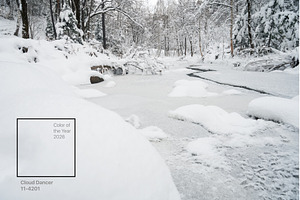 Beauty winter landscape, a Nature Photo by Jan Jack Russo Media