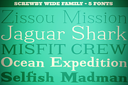 Screwby Wide Family, a Serif Font by Pink Broccoli (Thumbnail 1 of 3)