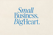 The Very Vogue Serif Family, a Serif Font by Nicky Laatz (Thumbnail 21 of 37)