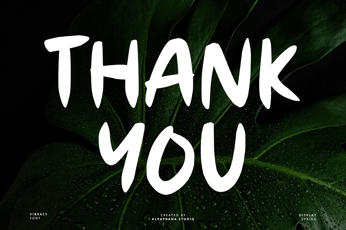 Vibrancy - Display Font, a Script Font by Alpaprana (Photo 9 of 9)